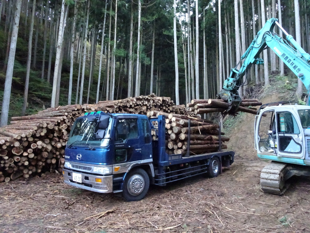 立木の伐採搬出作業